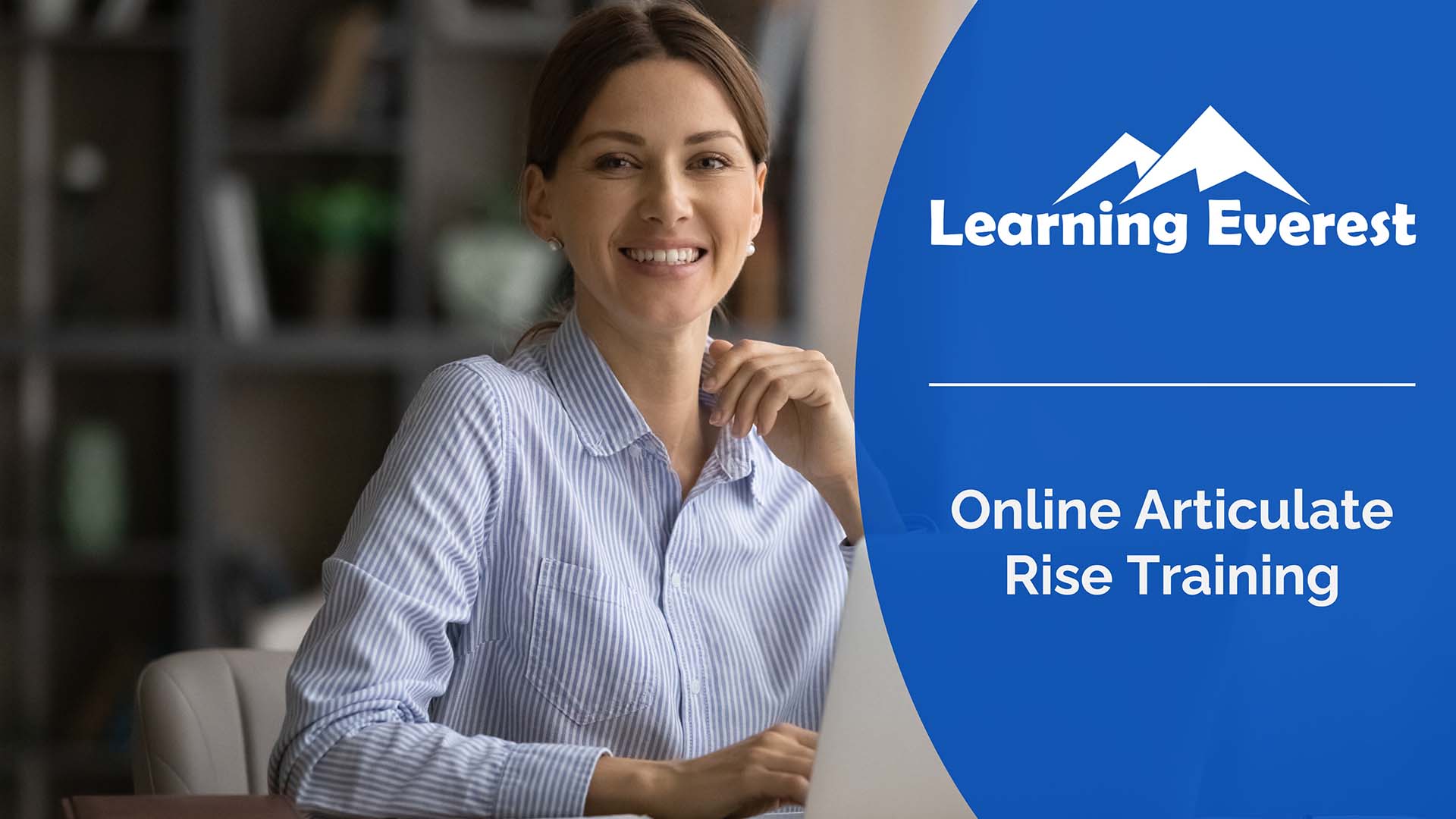 Online Articulate Rise Training