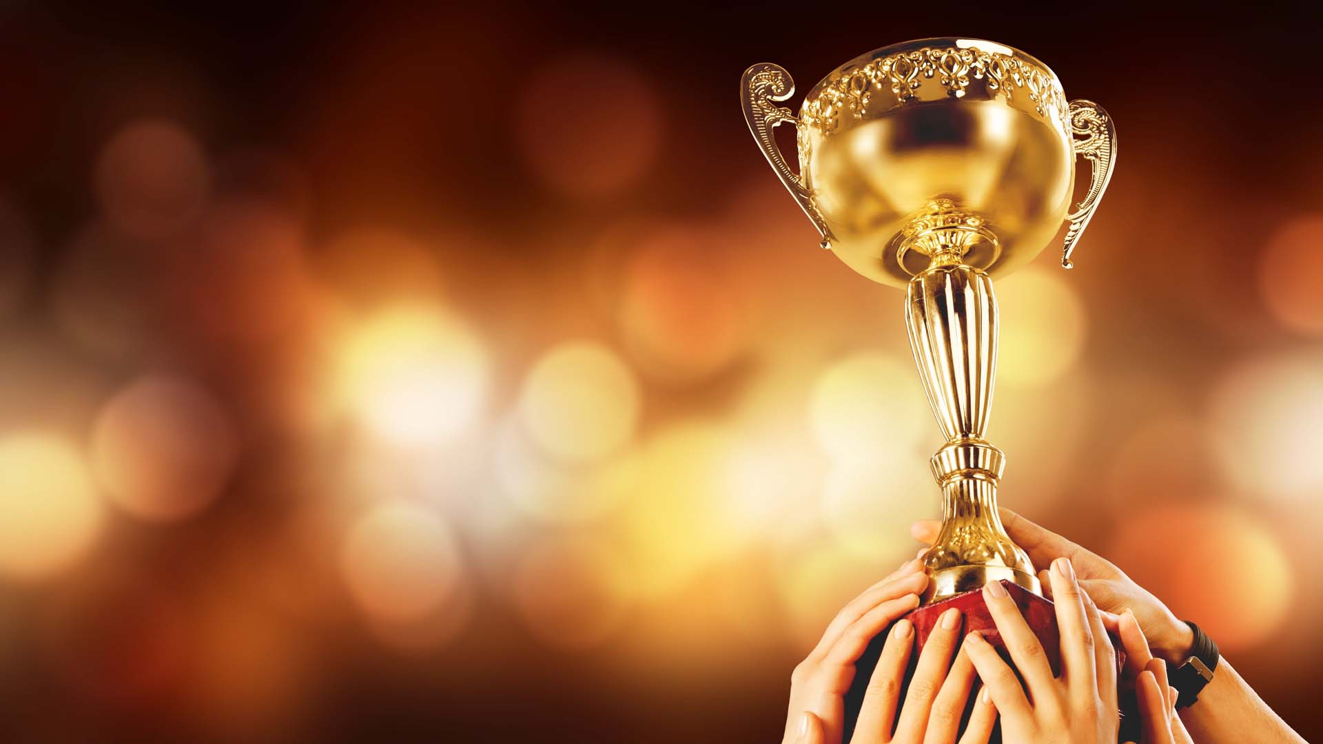Learning Everest Wins Axis Bank Certificate of Recognition